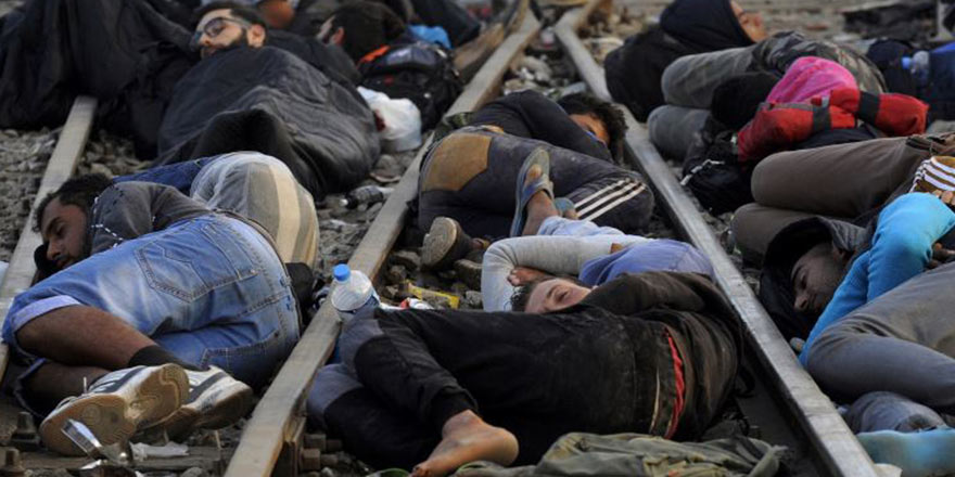 Amerika kıtasında bu yıl 500'den fazla göçmen öldü