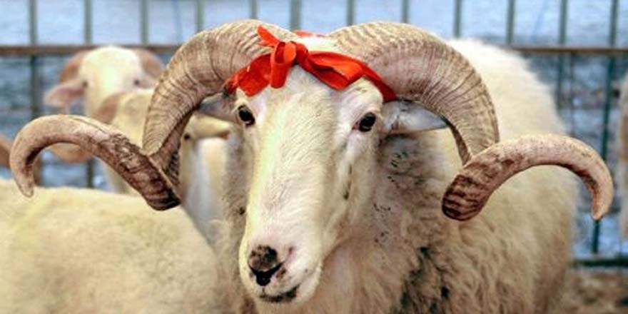 Kurban Bayramında o gün de bayram tatiline dahil oldu