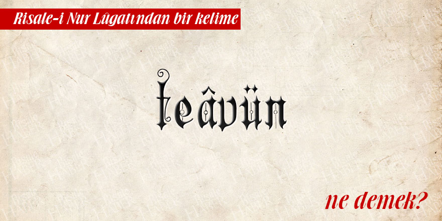 Risale-i Nur Lûgatından bir kelime: teavün ne demek?