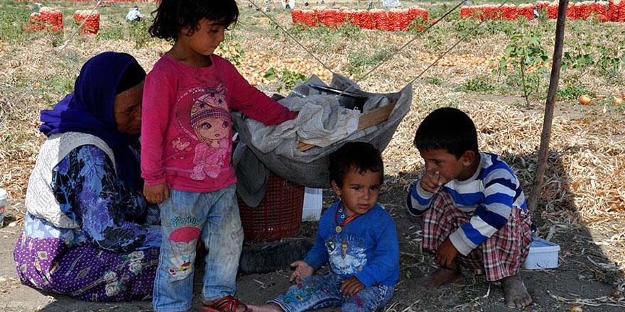 Mevsimlik Tarım İşçileri'nin 'Ekmek parası' için göçebe hayatı