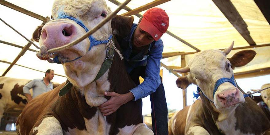 Kurban pazarında sahte para önlemi