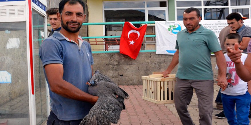 Kene düşmanı tavukların dağıtımına başlandı