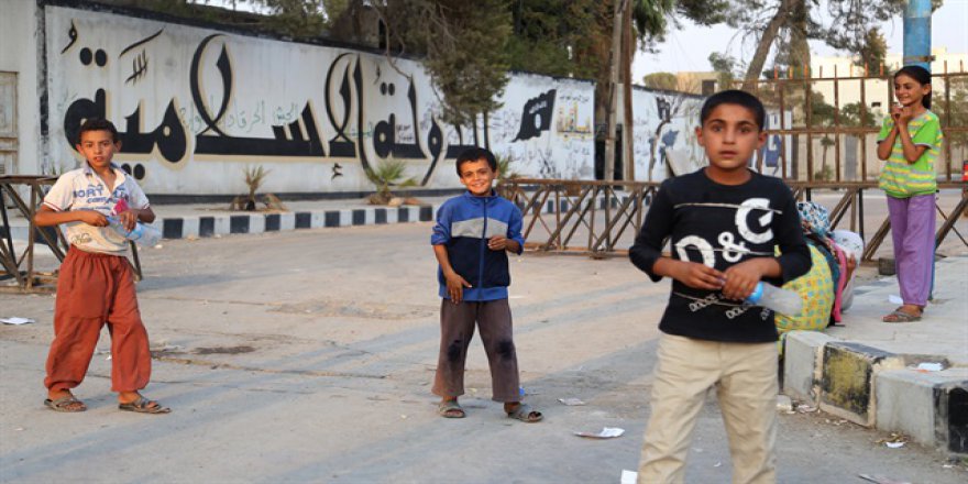 İHH'dan Cerablus'a insani yardım