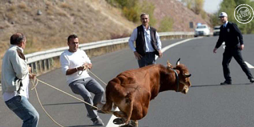 Kurban Bayramı tedbirleri belirlendi