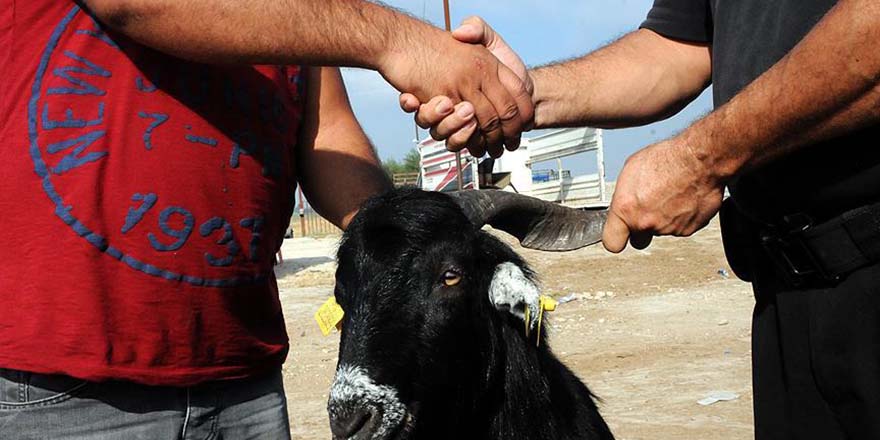 Kızılay'a kurban bağışı 40 bini geçti