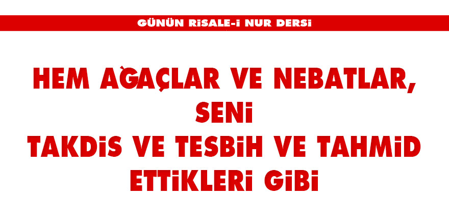 Hem ağaçlar ve nebatlar, seni takdis ve tesbih ve tahmid ettikleri gibi