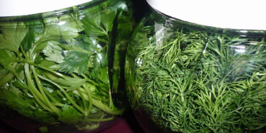 Maydanoz ve dereotuyla kanserden korunun