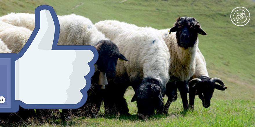 Sosyal medya dini bayramların maneviyatını zedeledi