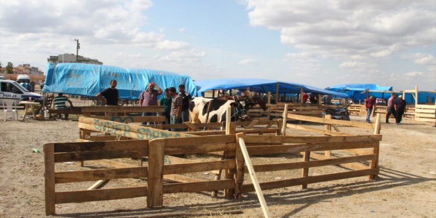 Besiciler çifte bayram yaşadı