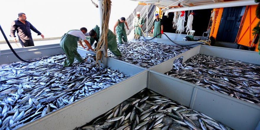 Balıkçı tezgahlarında bayram durgunluğu