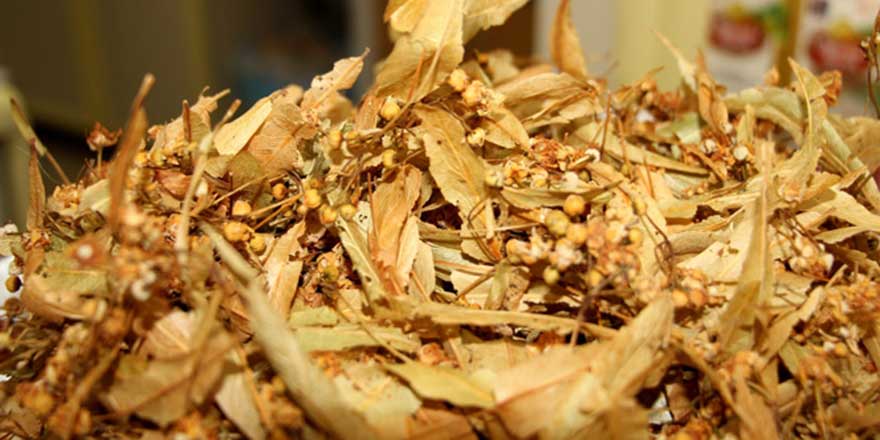 Kış aylarının vazgeçilmez ıhlamur fiyatı ile el yakıyor