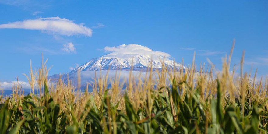 'Türkiye'nin Çatısı'na ilk kar yağdı