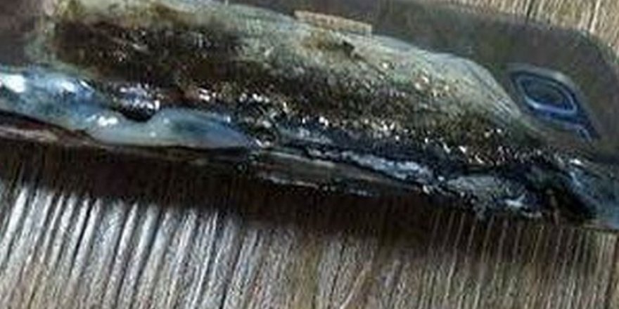 Galaxy Note 7 uçakta yasaklandı