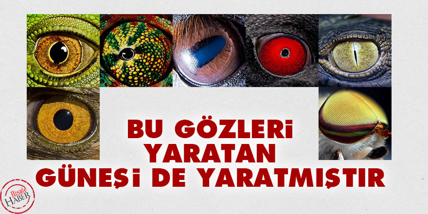 Bu gözleri Yaratan güneşi de yaratmıştır