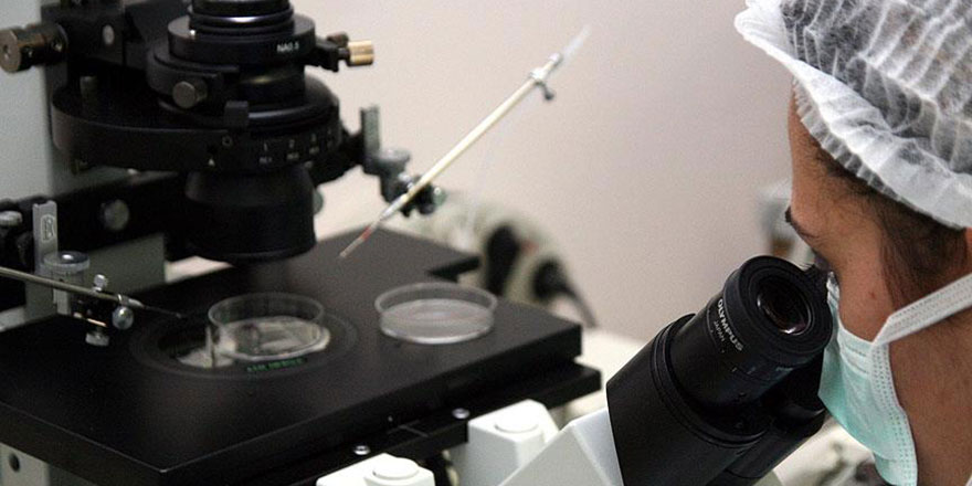 Bilim dünyası donmayan ve kaynamayan hayvanın sırrını çözmeye çalışıyor