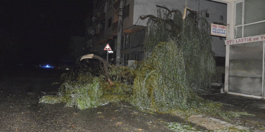 Düzce’de hortum: 3 yaralı