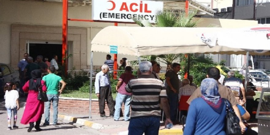 Yarasa ısırdı kuduz oldu