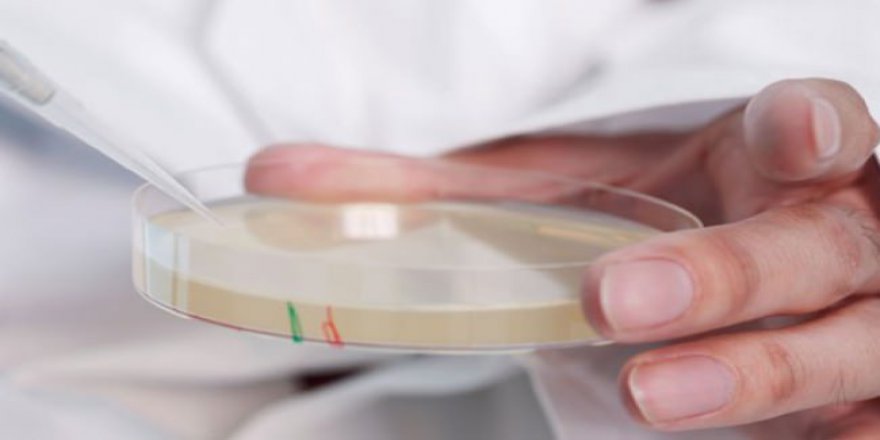 Türkiye'de her üç reçeteden birinde antibiyotik yazılıyor