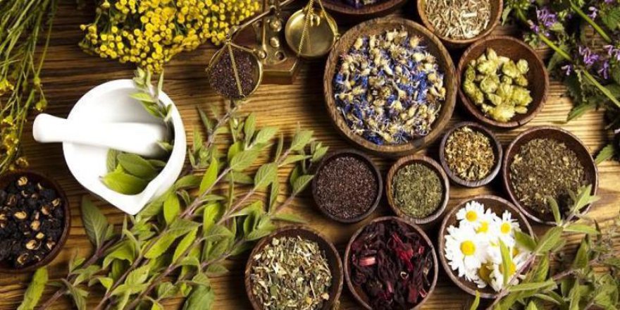 İhracatın oransal artışında şampiyon 'süs bitkileri' oldu