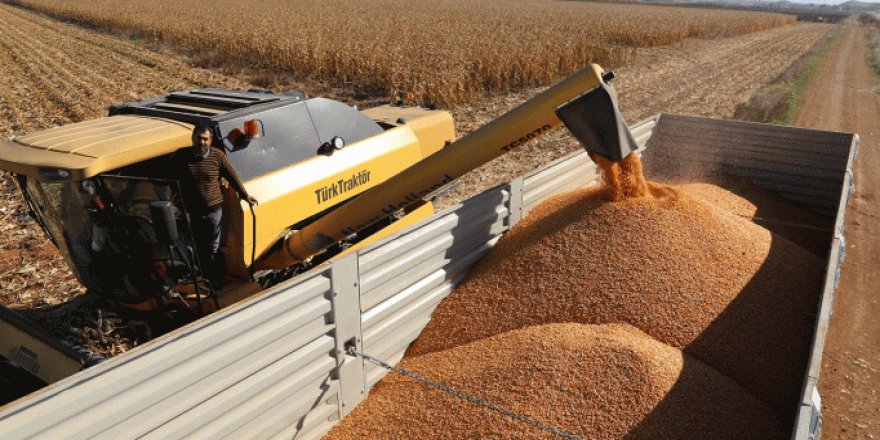 "Türkiye, 1 milyar dolarlık un ihracatıyla dünya şampiyonu"