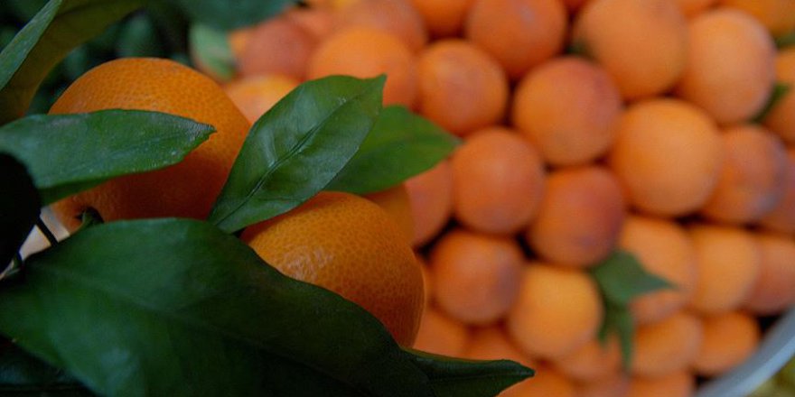 Büyüközer: 'Tükettiğimiz gıdalar modernitenin kıskacında'