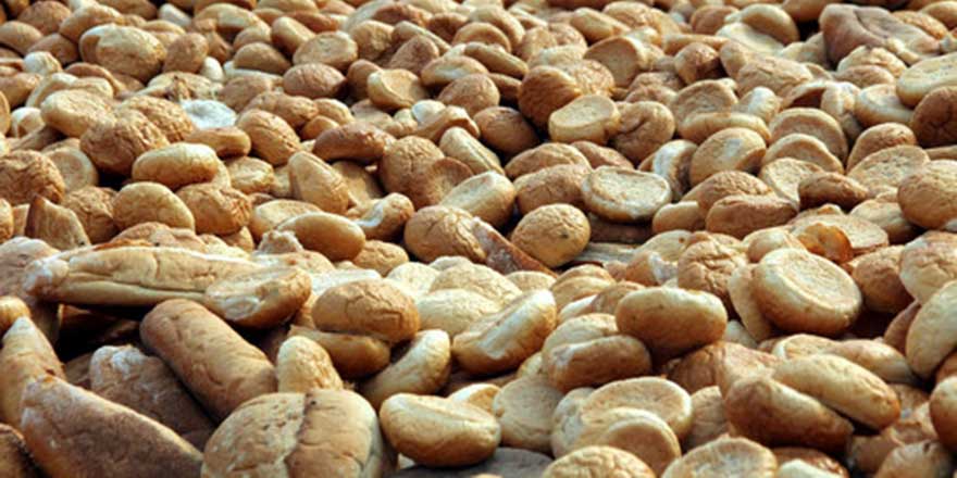 Ekmekte korkunç israf: 500 okul parası çöpe gidiyor