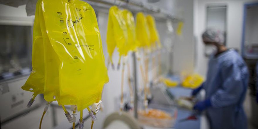 Vücudun bağışıklık sistemi kansere kalkan oluyor