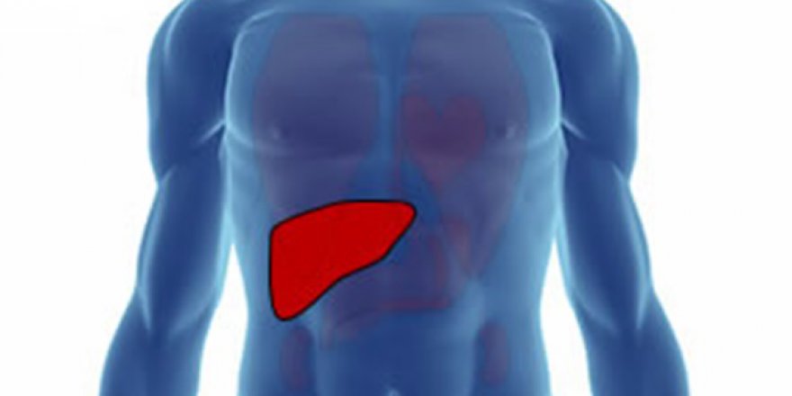 'Karaciğerde siroza götüren alışkanlıklara dikkat'