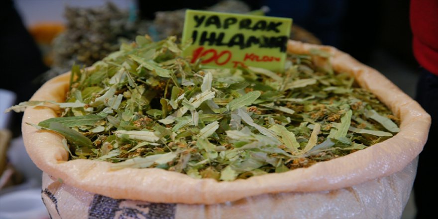 Geçen yıl fiyatı rekor kırıyordu, bu yıl ise…