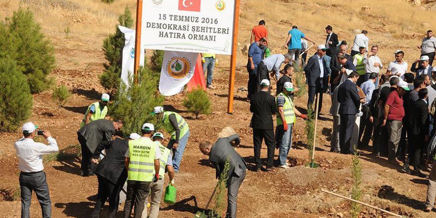 '15 Temmuz Demokrasi Şehitleri Hatıra Ormanı' oluşturuldu