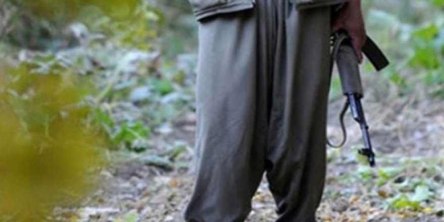 'Şırnak’ta 15 terörist etkisiz hale getirildi'