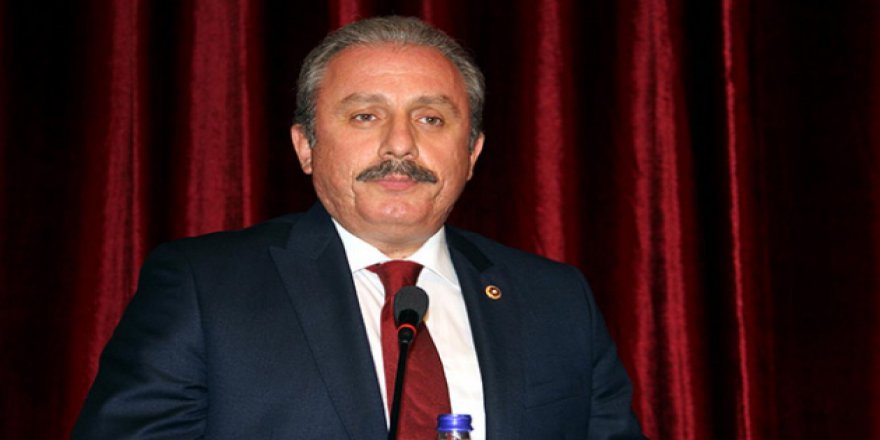 '15 Temmuz bütünüyle bir intikam tablosudur'
