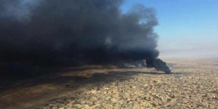 Asit Yağmuru nedir? Asit Yağmuru öldürür mü?