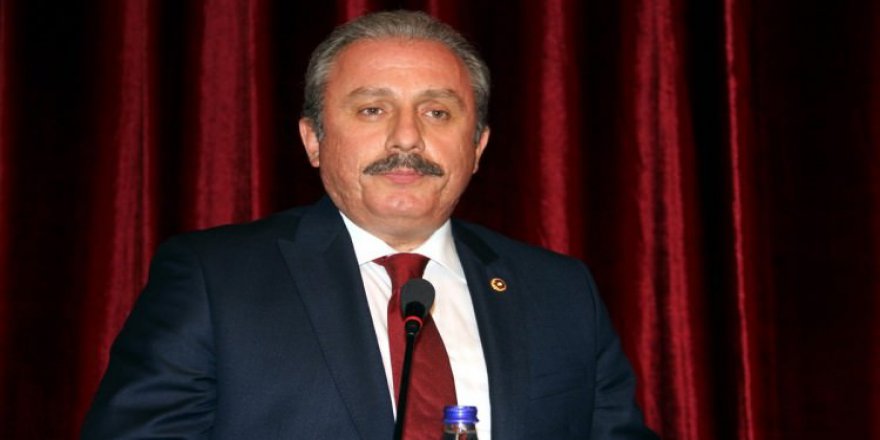 Şentop: Referandum Türkiye'nin iç meselesidir