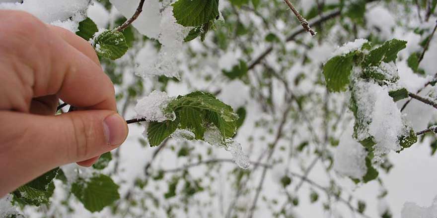 Soğuk ve Kar yağışlı hava geliyor!