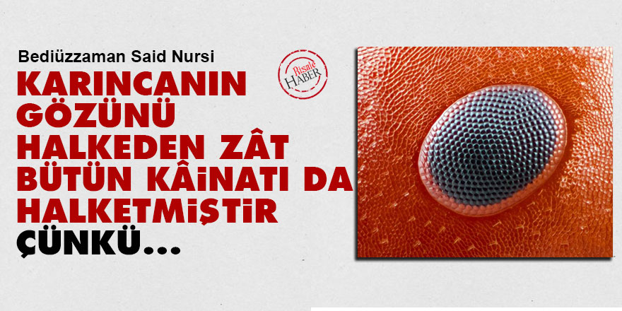Karıncanın gözünü halkeden Zât bütün kâinatı da halketmiştir, Çünkü...