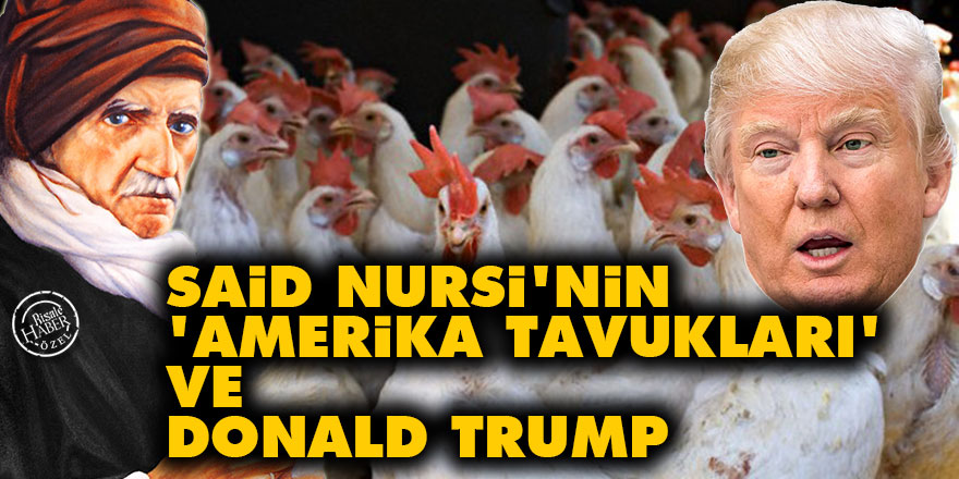 Said Nursi'nin 'Amerika tavukları' ve Donald Trump