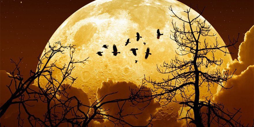 Süper Ay ne zaman görülecek? Süper Ay Türkiye'den görülecek mi?