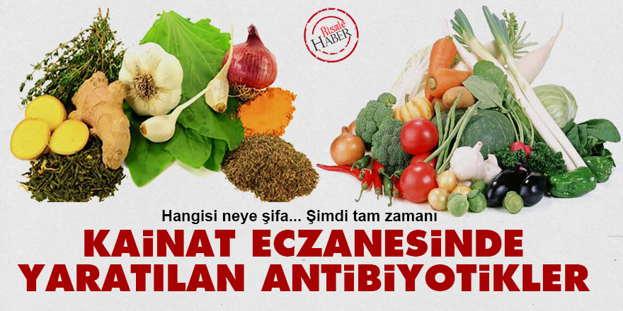Kainat eczanesinde yaratılan antibiyotikler