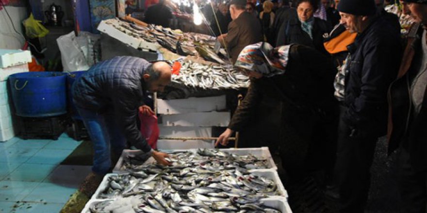 Çinekop bereketi palamudu geçti