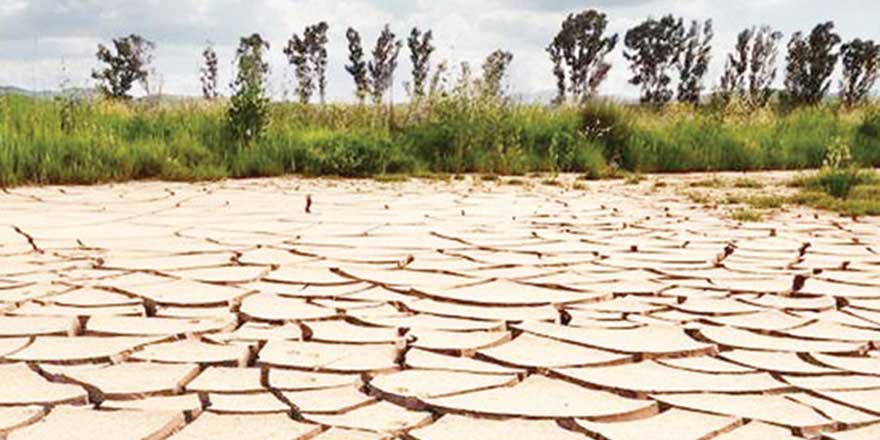 Her yıl 106 milyon ton toprak kayboluyor