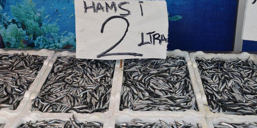 Hamsi fiyatı 2 liraya düştü