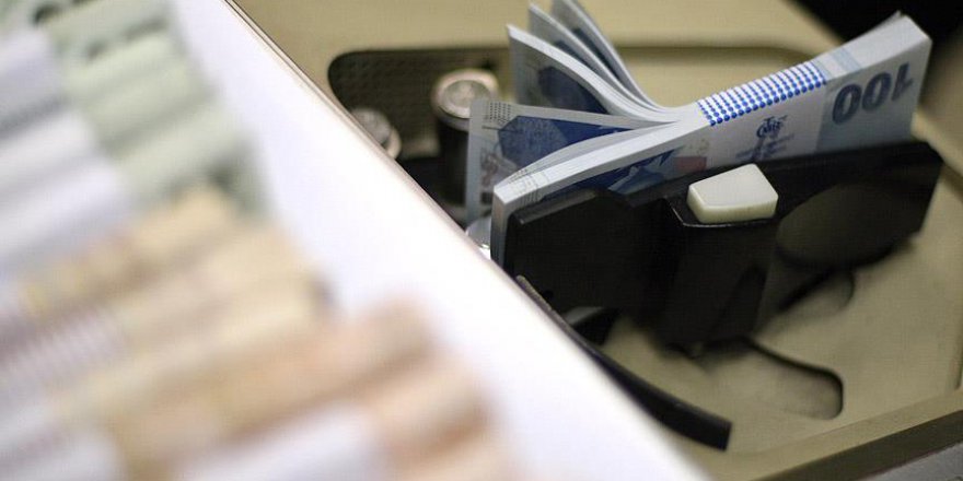 Kamu ihalelerinde Türk lirası zorunluluğu