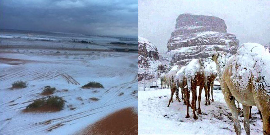Suudi Arabistan'da çöle kar yağdırıldı