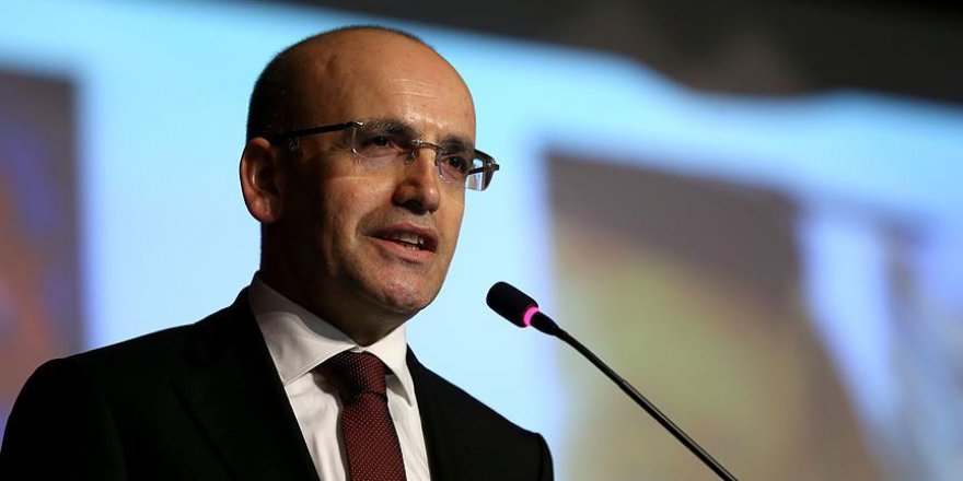 Şimşek: Anayasa referandumu tek başına çok önemli bir reform
