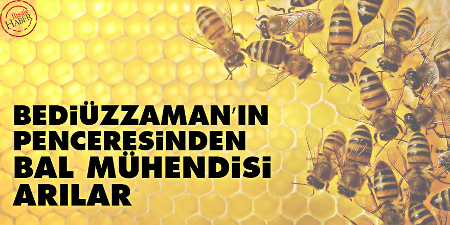 Bediüzzaman’ın penceresinden ‘bal mühendisi arılar’