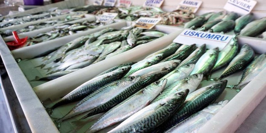 Soğuk hava balık fiyatlarını üçe katladı