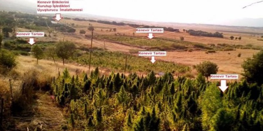 Terörün finans kaynağı'na büyük darbe