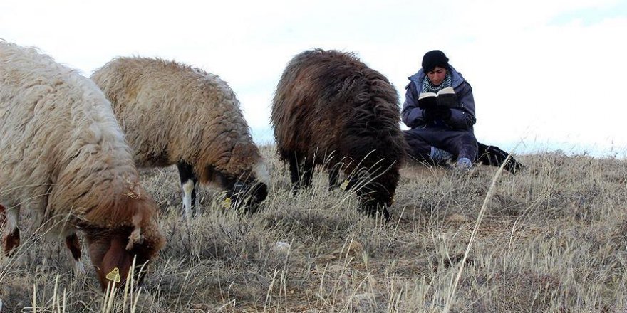 'Çocuk çobanlar' hayalleri için ders çalışıyor