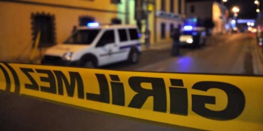 Mersin'de 125 hayvan telef oldu